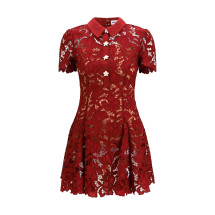 Short lace Dress