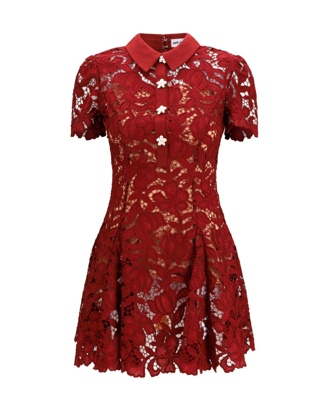 Short lace Dress
