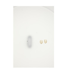 DIOR OBLIQUE HOOP EARRINGS