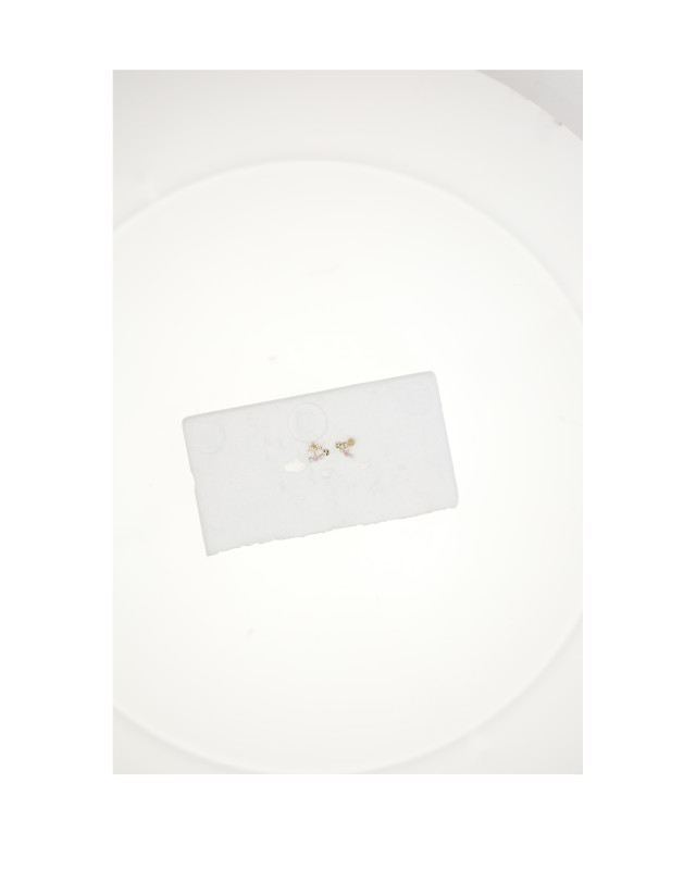 DIOR DAISY EARRINGS