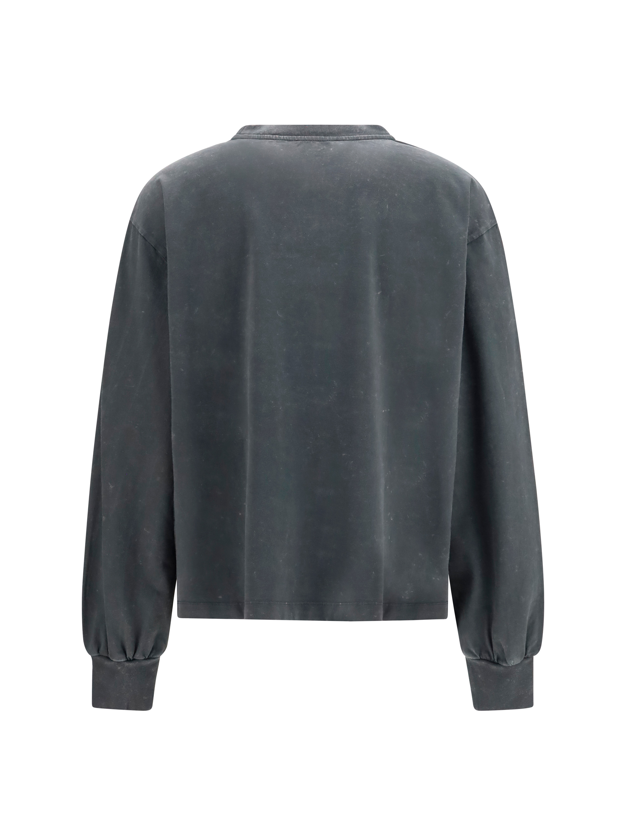 Long-sleeve tiger-print T-shirt