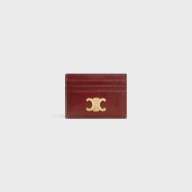 [Celine] Other Accessory SS26 10L834GXD