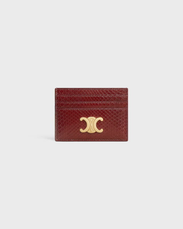 [Celine] Other Accessory SS26 10L834GXD