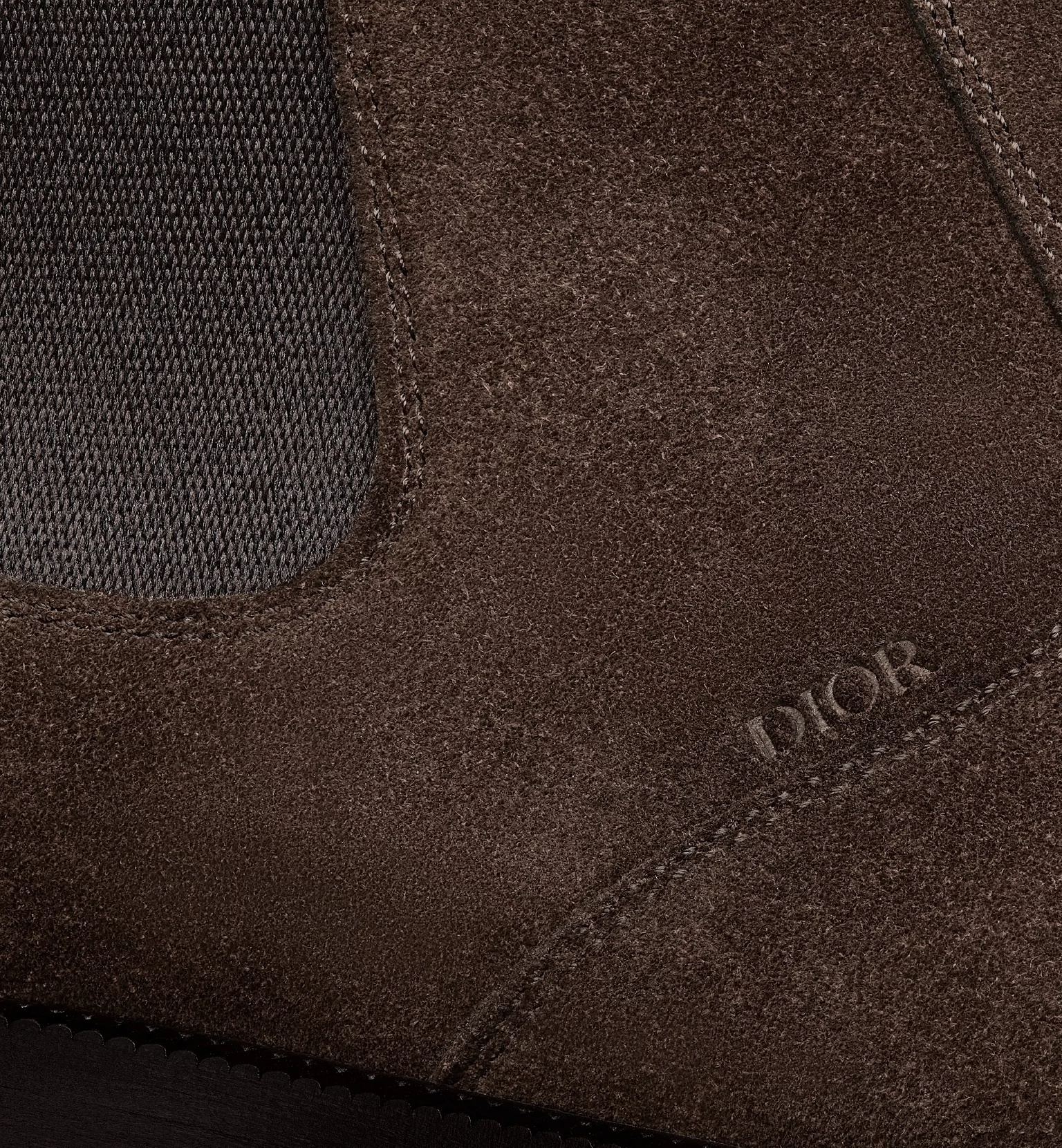 [Christian Dior] Ankle boots FW26 3BO384ZPE
