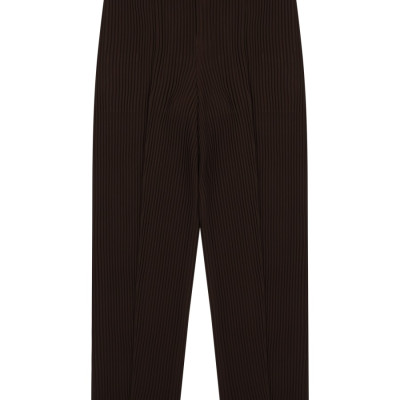 [HOMME PLISSE' ISSEY MIYAKE] Trousers SS26 HP66FF183_44