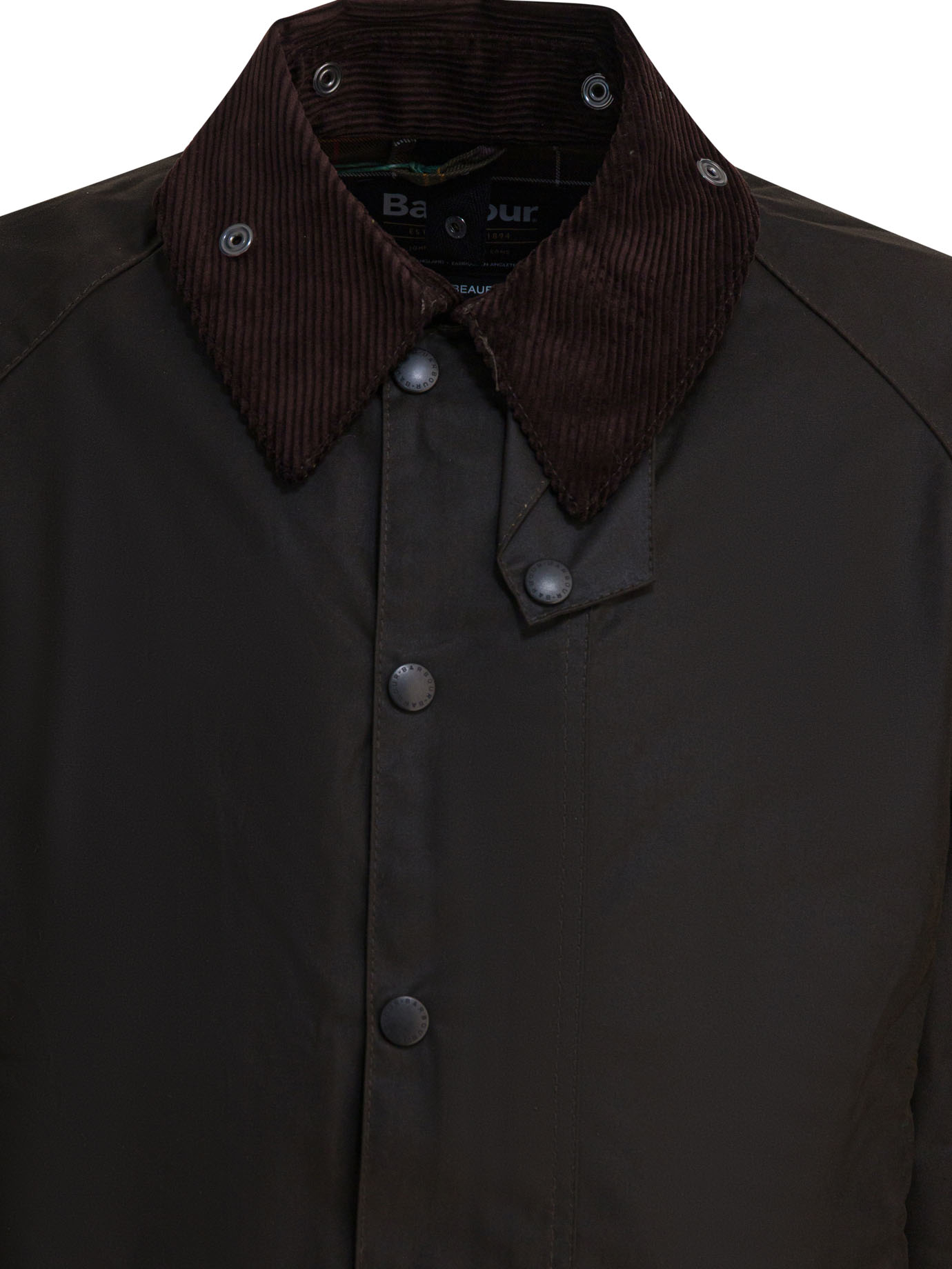[Barbour] Jacket FW25 MWX0002MWXOL71