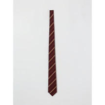 [Emporio Armani] Tie SS26 EM001344TE19704 F5072