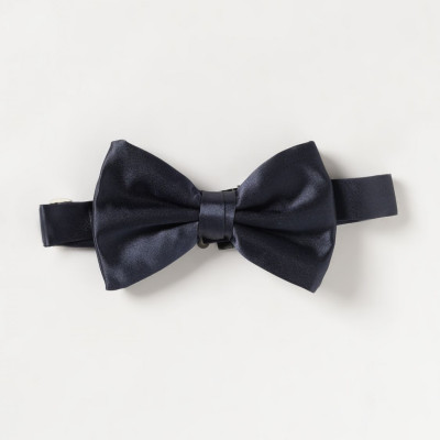 [Emporio Armani] Tie SS26 340031CC197 00036