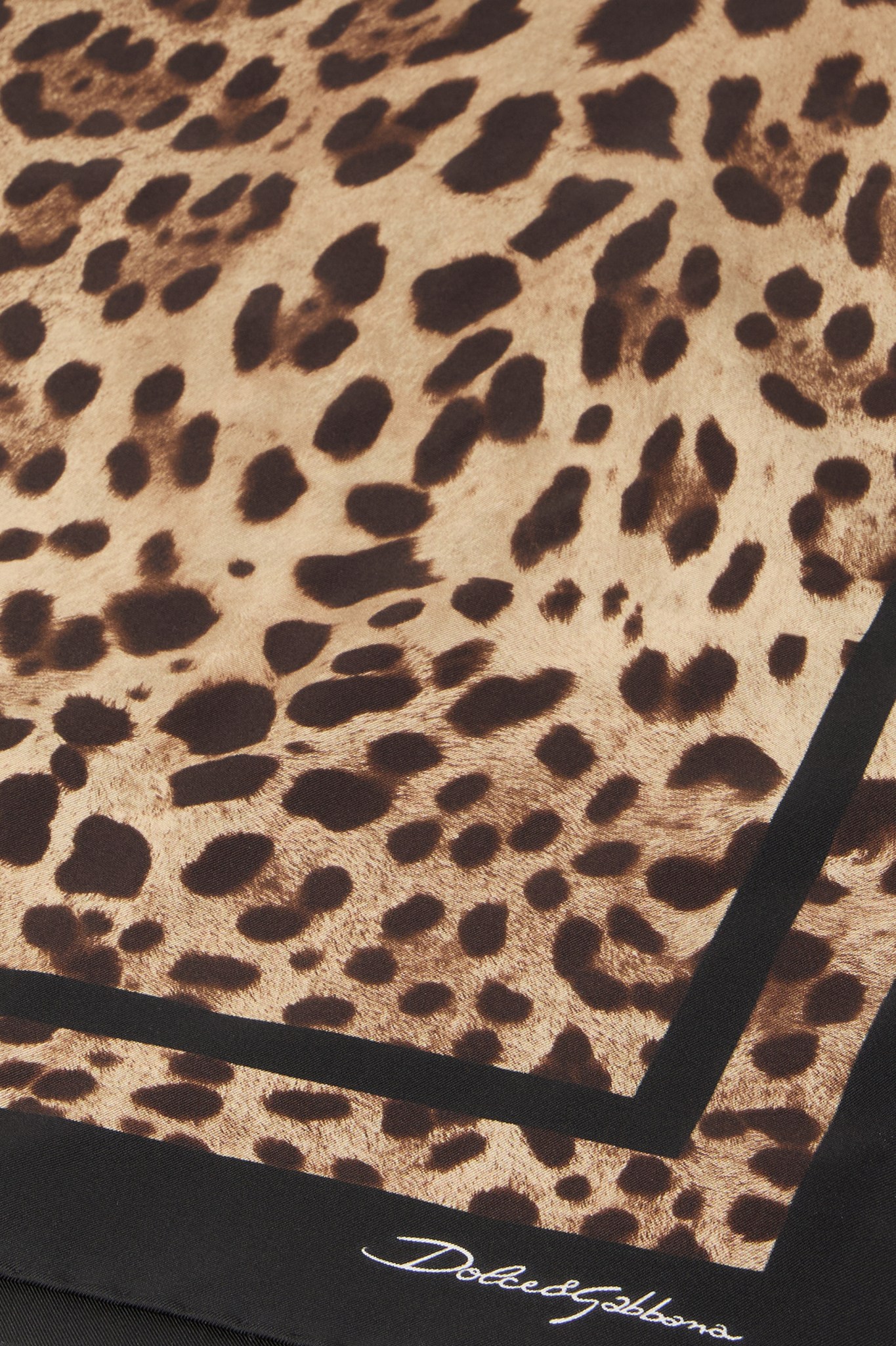 [Dolce & Gabbana] Scarf CO FN090RGDCF5_HN13M