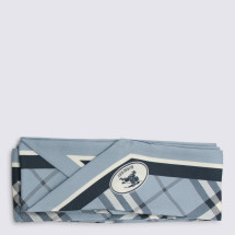 [Burberry] Scarf SS26 8114240C3263