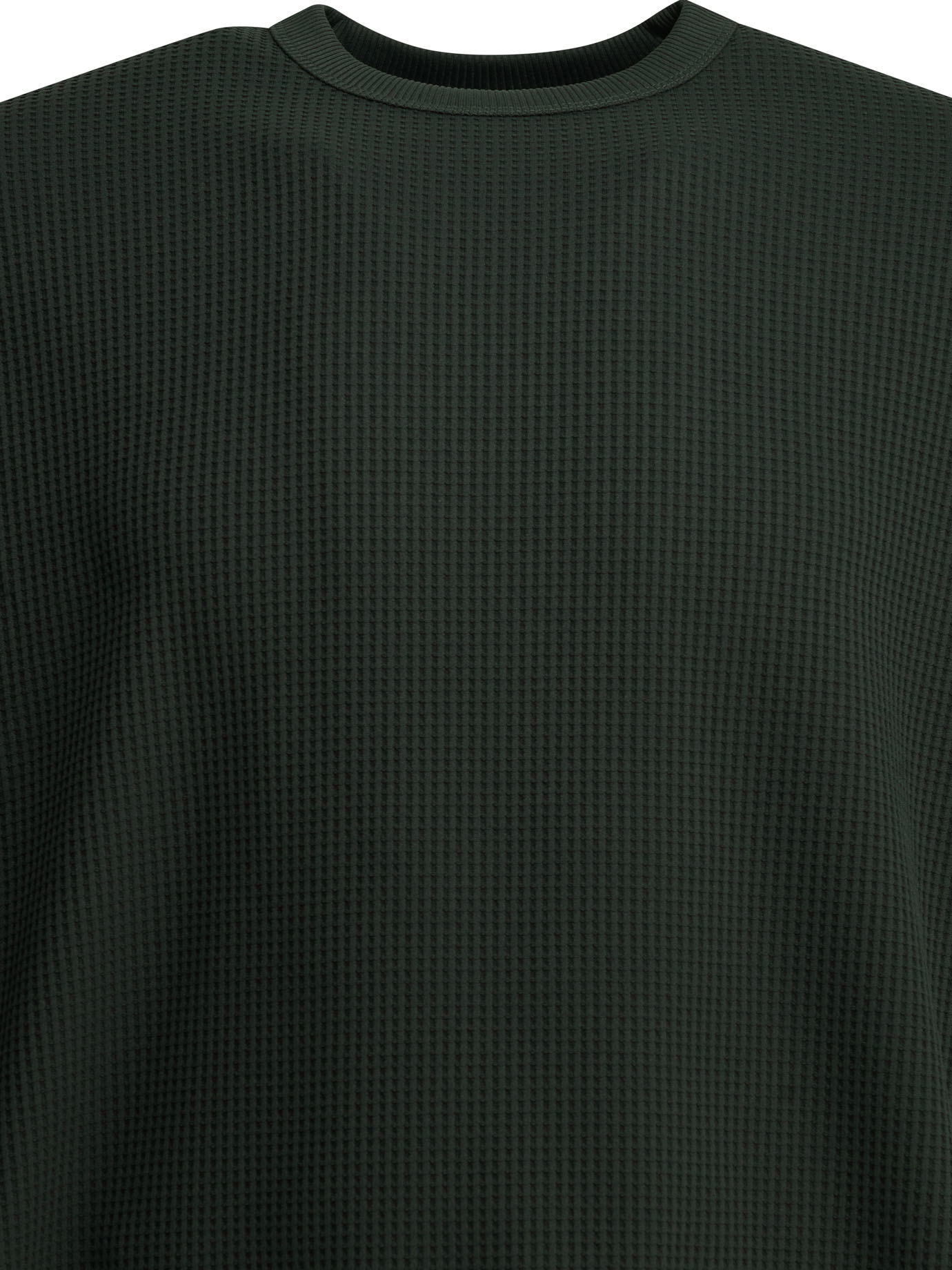 [Daiwa Pier 39] T-shirts FW26 8804013870419