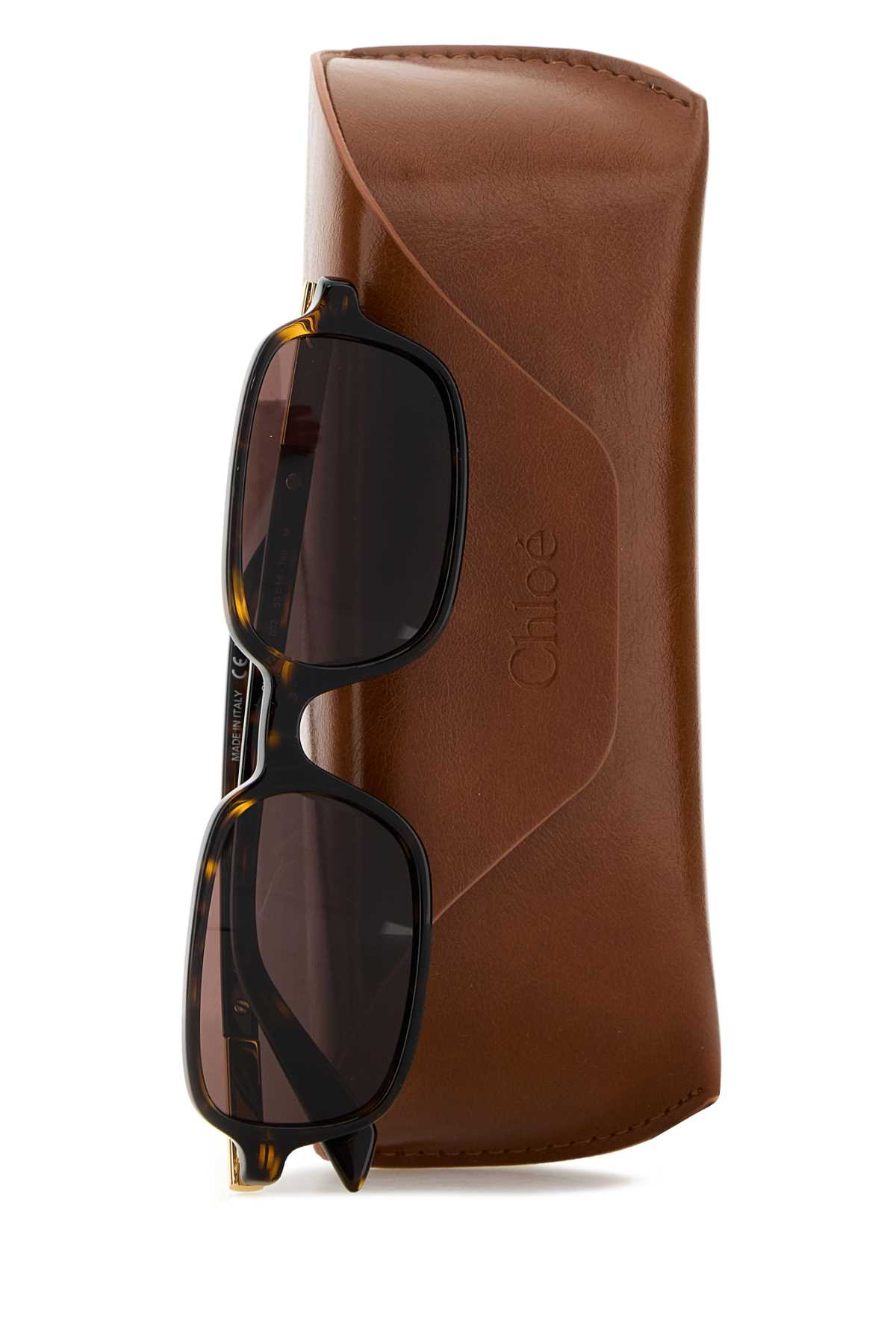 [Chloe] Sunglasses FW26 CH0363S002 53