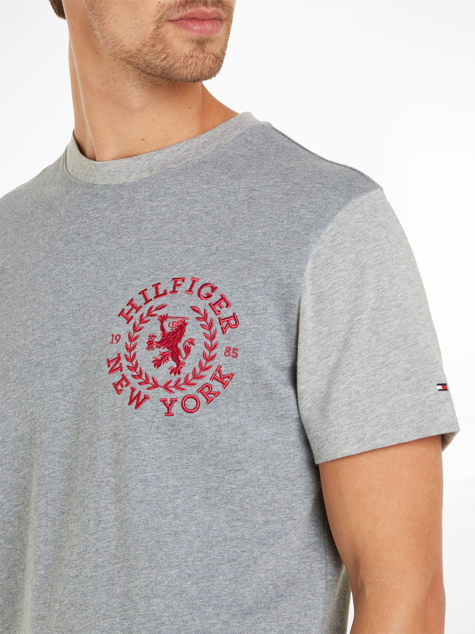 [Tommy Hilfiger] T-shirts Short Sleeve SS24 MW0MW33694P91