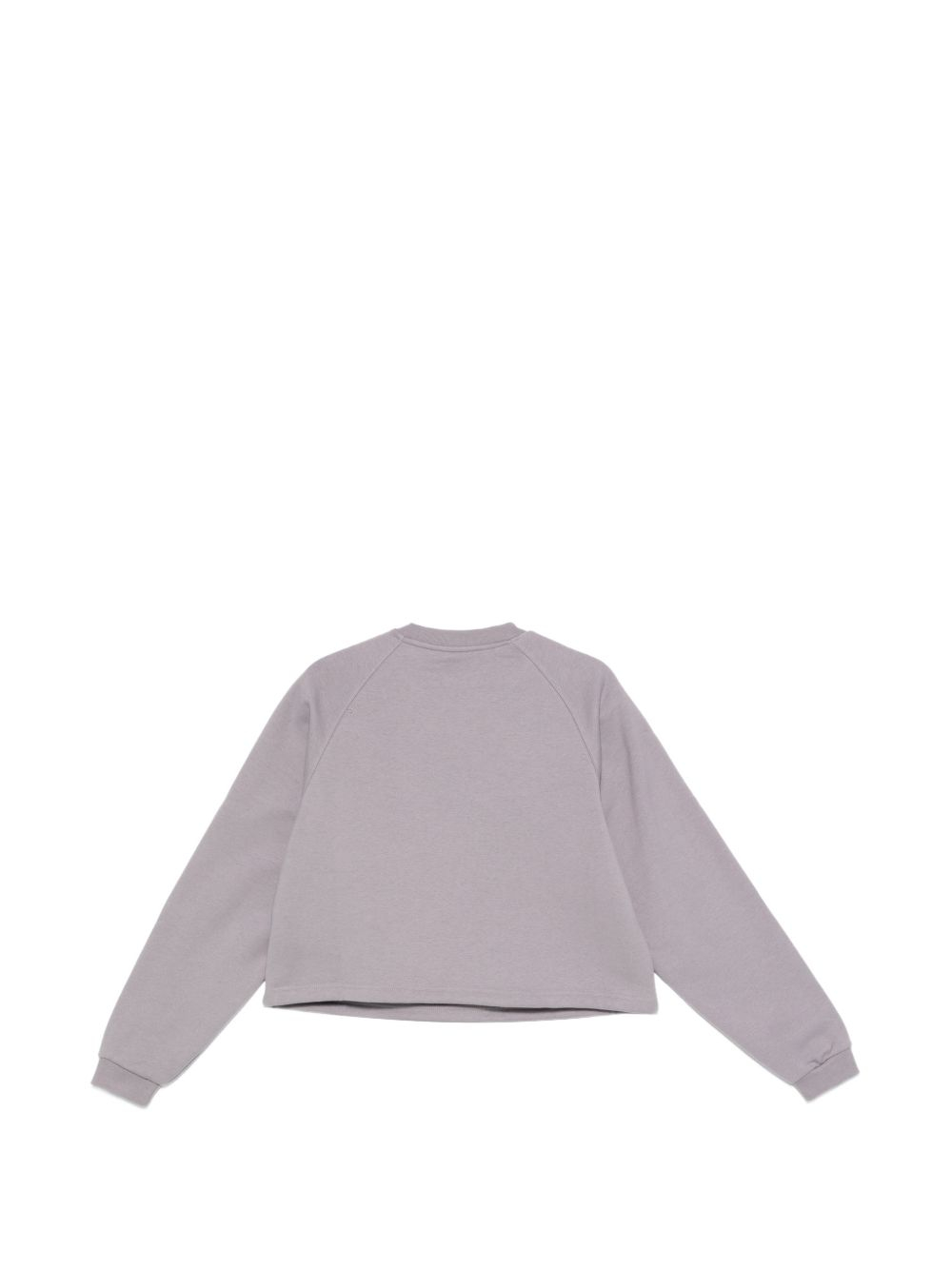 [THE NORTH FACE] Sweatshirt SS26 NF0A8EFYG7O1GREY