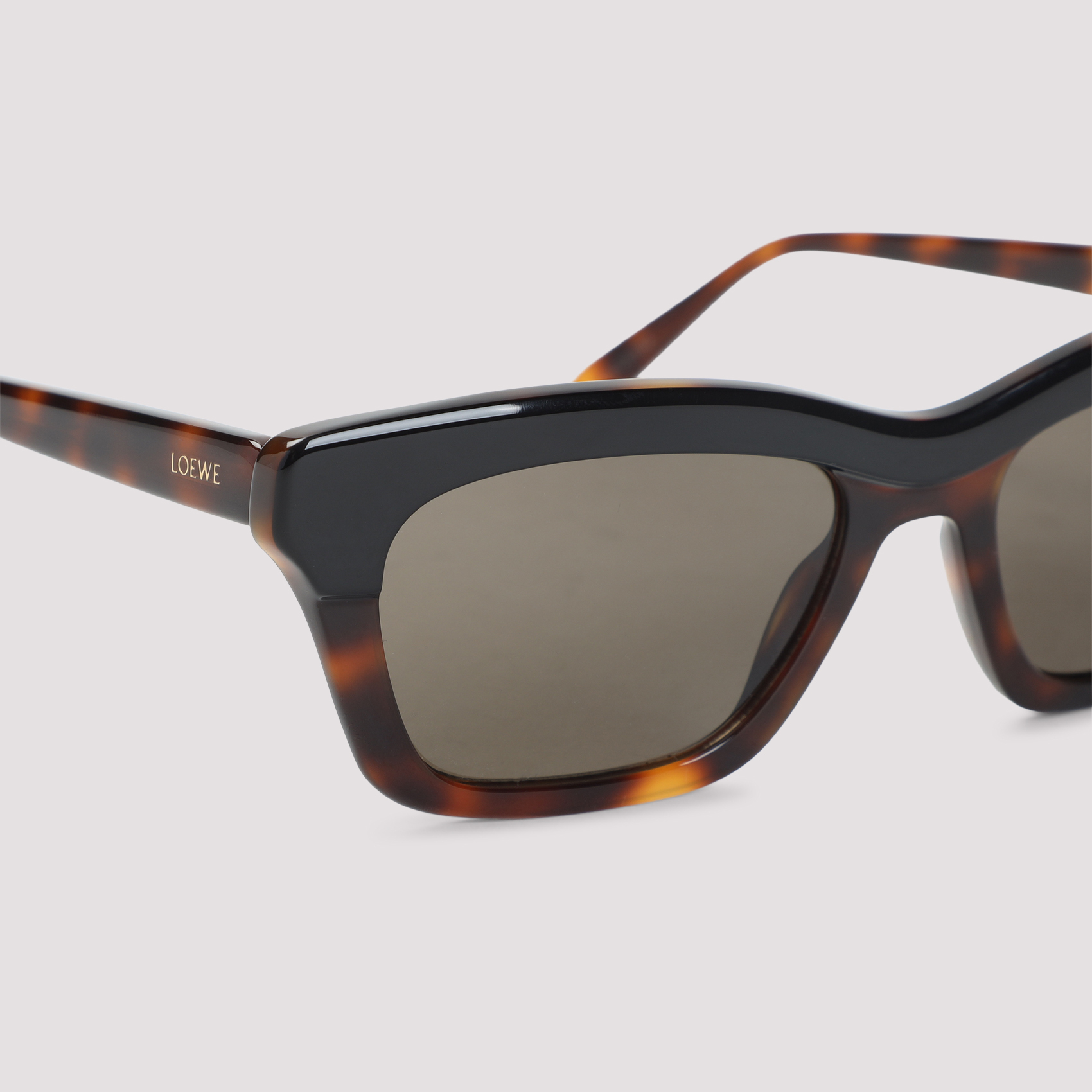 [LOEWE EYEWEAR] Sunglasses SS26 LW40177I