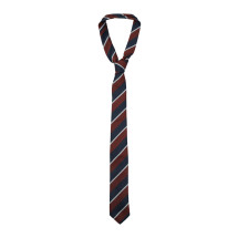 [THE FRANKIE SHOP] Fashion Accessory SS26 NTFS21170711BURGUNDY