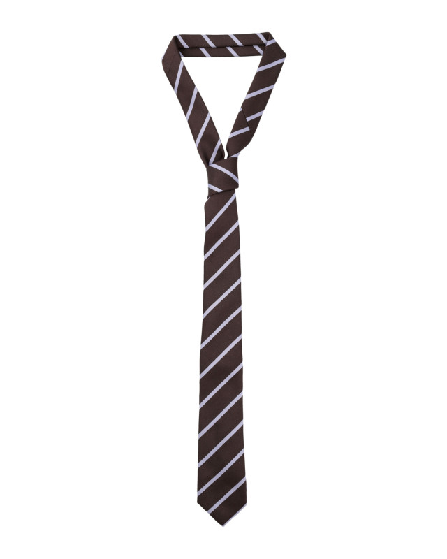 [THE FRANKIE SHOP] Fashion Accessory SS26 NTFS21170200BROWN