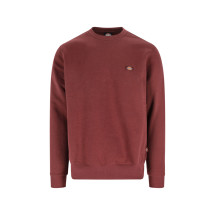 [DICKIES] Sweatshirt FW25 DK0A4XCEL161