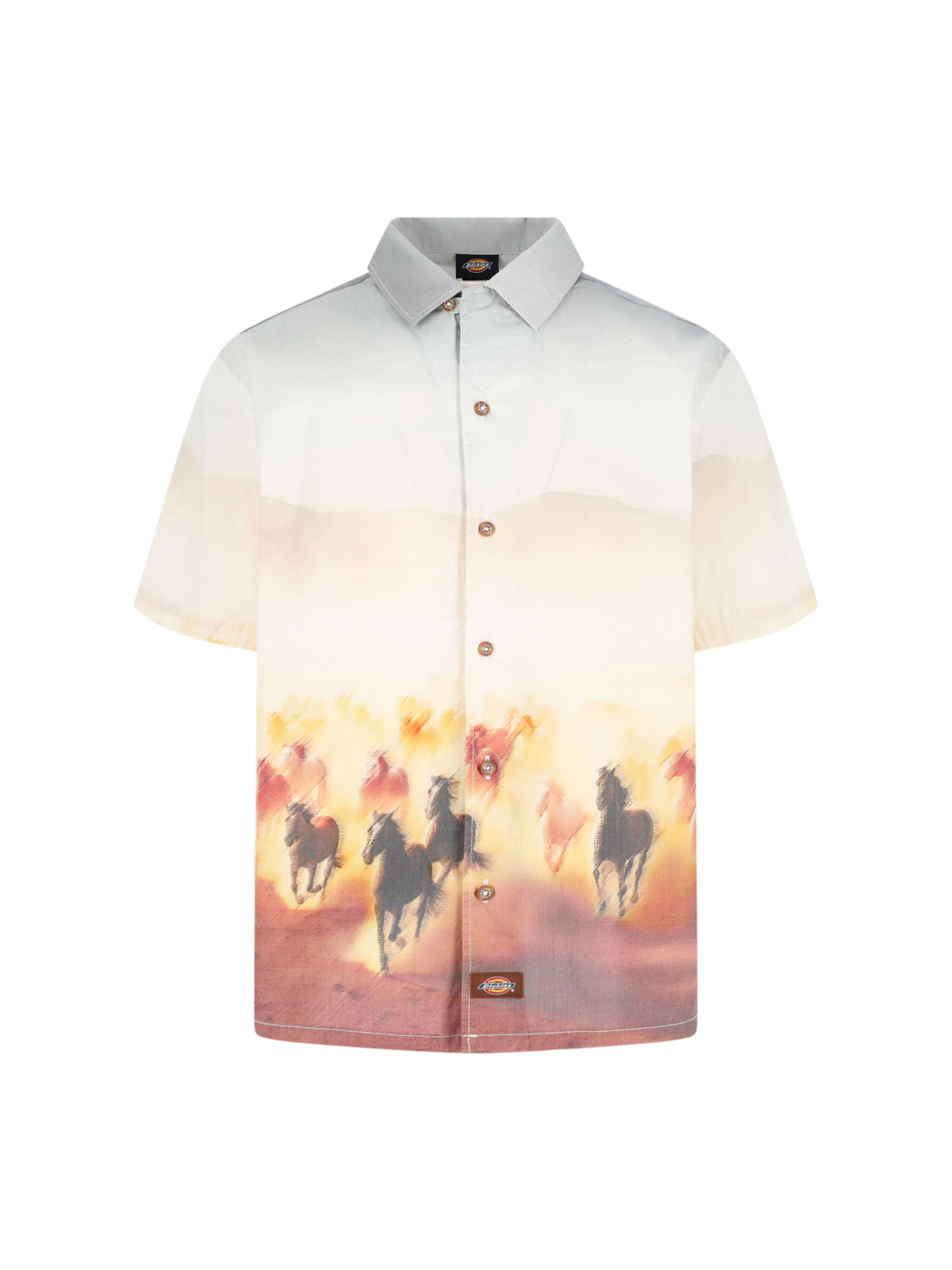 [DICKIES] Shirts Short Sleeve SS25 DK0A8676K411