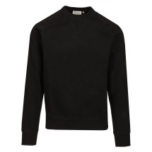 [CARHARTT WIP] Sweatshirt CO I03366000FXX