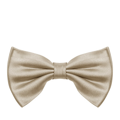 [NICKY] Tie FW26 GALLECUBOACHAMPAGNE