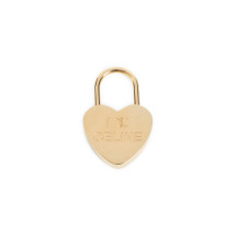 [Celine] Charm FW26 B101P6BRA