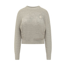 [Isabel Marant] Knitwear FW25 25APU0797FAC3L18E 02GY