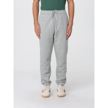 [DICKIES] Trousers FW25 DK0A4XIM GYM1