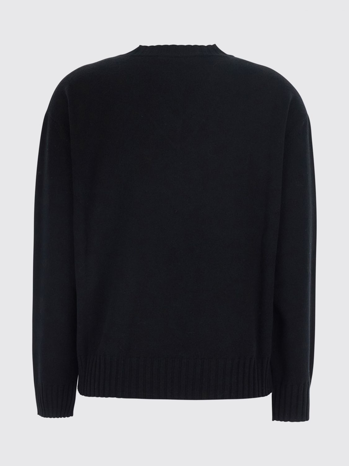 [Fabiana Filippi] Knitwear FW26 MAD216F015M28 1825