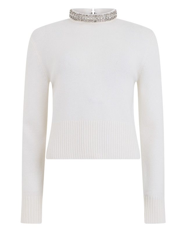 Sweater with high collar embellished