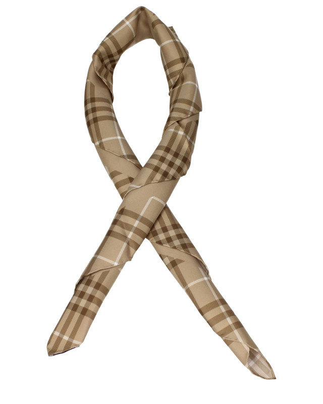 [Burberry] Fashion Accessory SS26 8125815