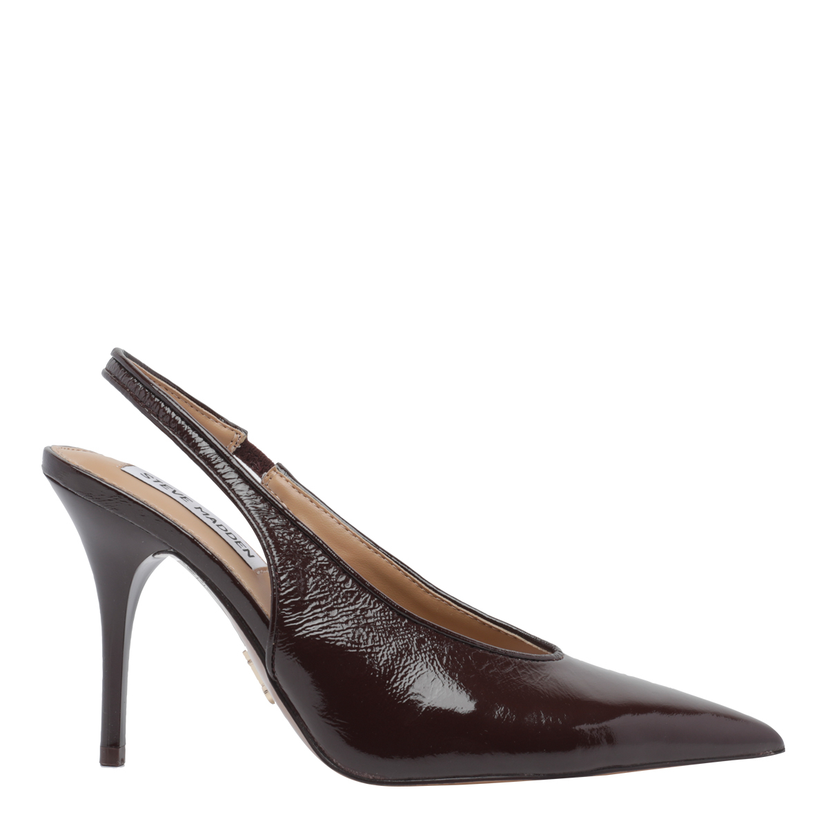 [Steve Madden] Pumps FW26 ANDROMEDABROWN