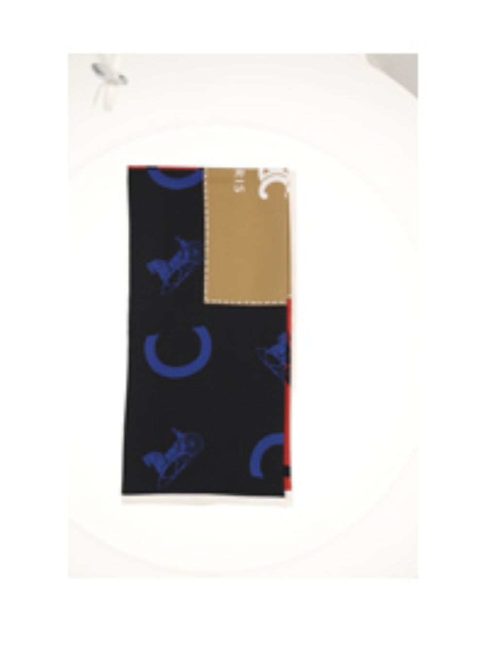 CELINE 2AW902R45 GGT3