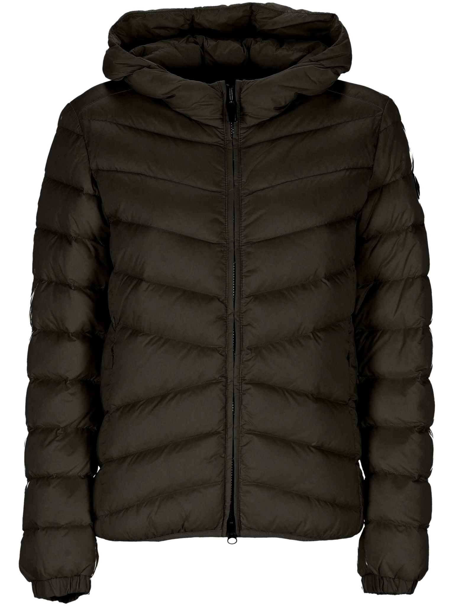 [colmar] Down jacket FW26 220000192YO99