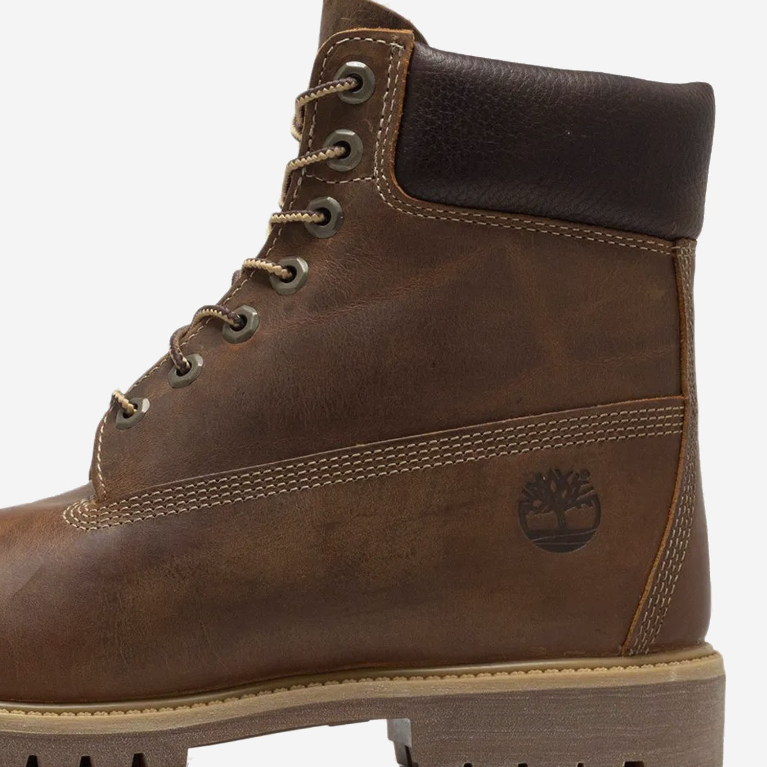 [Timberland] Ankle boots FW26 TB1270942141