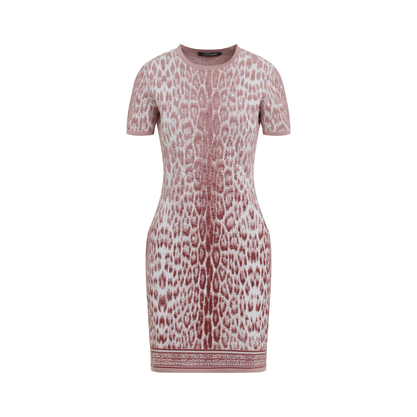 [ROBERTO CAVALLI] Short sleeve dress FW26 XQM103.MA018