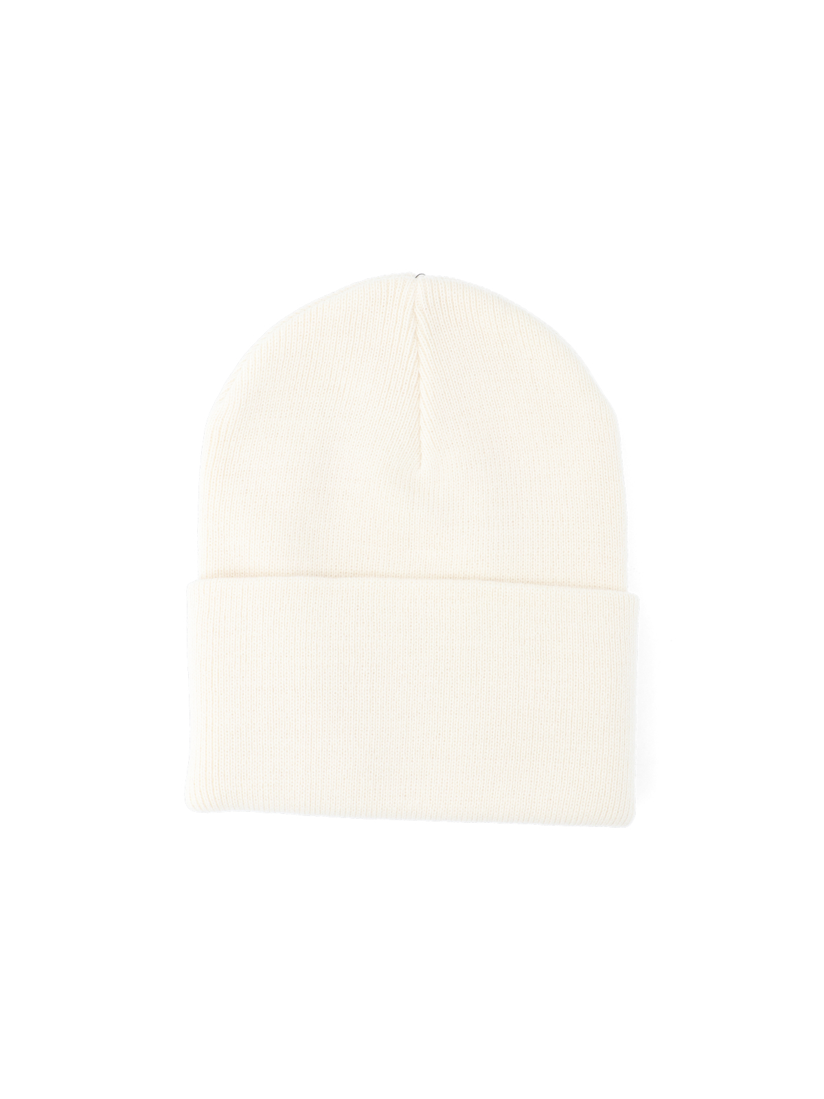 [CARHARTT WIP] Beanie FW26 I02022205XX