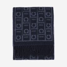 [Salvatore Ferragamo] Scarf FW26 520125004