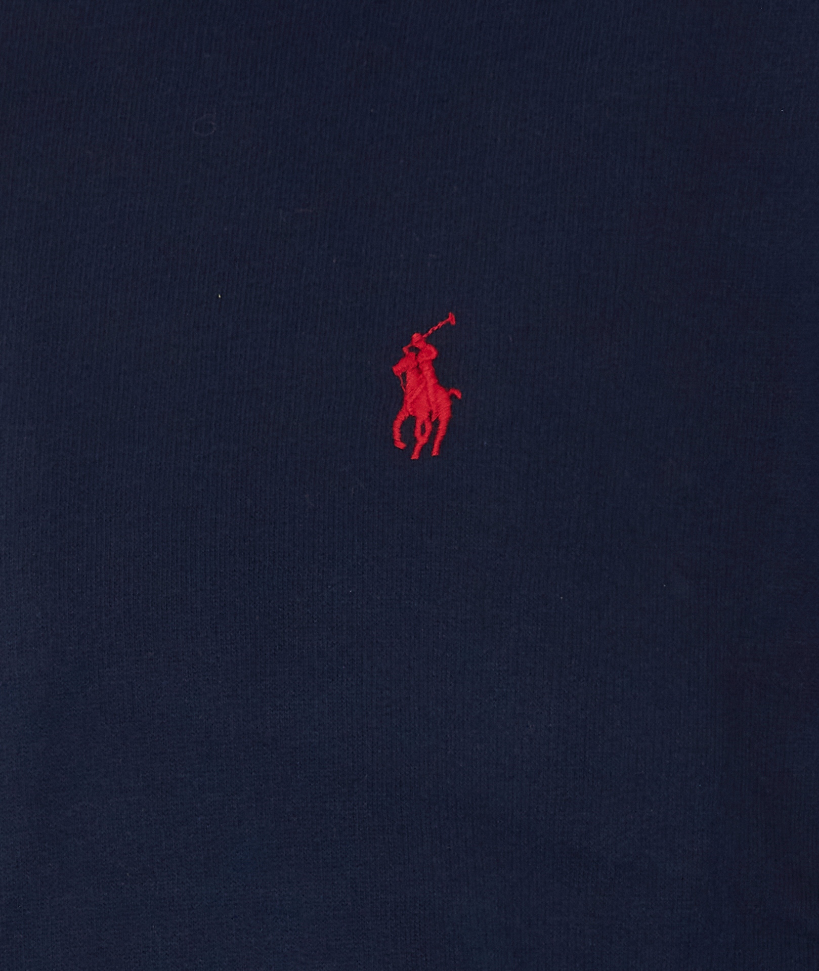 [Polo Ralph Lauren] Hoodie FW26 710766778007CRUISE NAVY
