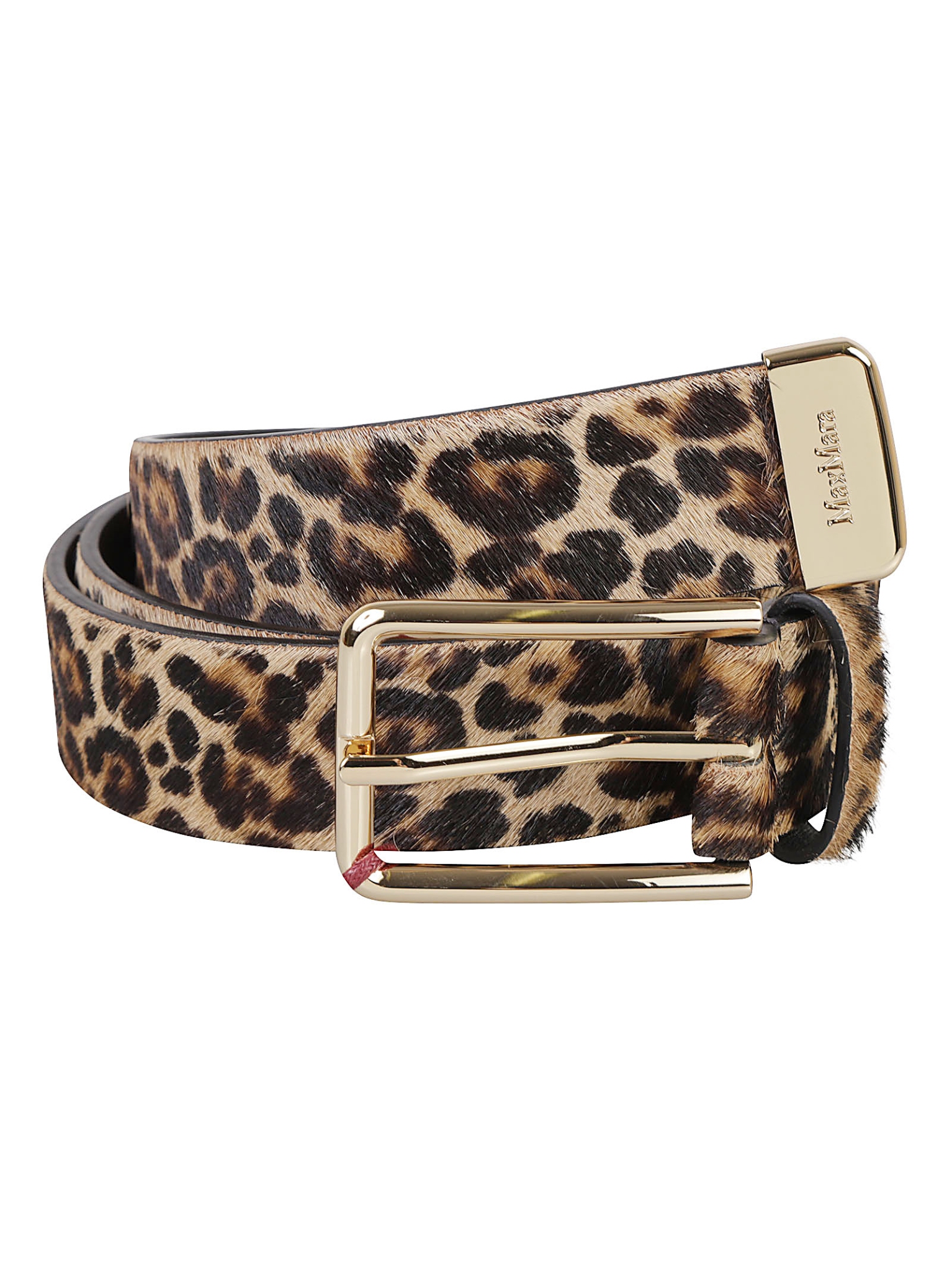 [MAX MARA STUDIO] Belt FW26 OMETTO 2626506011600