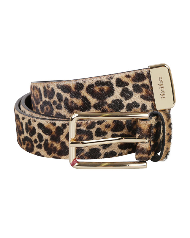 [MAX MARA STUDIO] Belt FW26 OMETTO 2626506011600