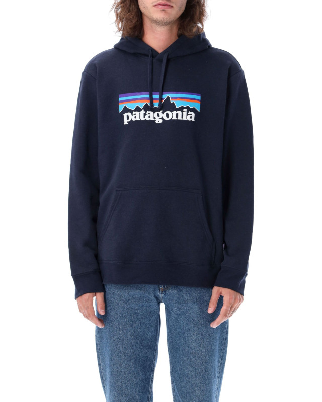 [Patagonia] Hoodie FW26 39622NENA